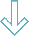 Arrow Down Icon